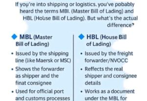 WhatsApp Image 2025-12-14 at 11.58.18 AM