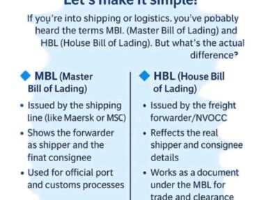 WhatsApp Image 2025-12-14 at 11.58.18 AM