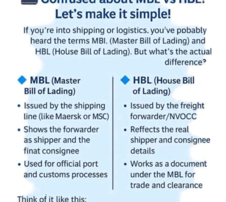 WhatsApp Image 2025-12-14 at 11.58.18 AM