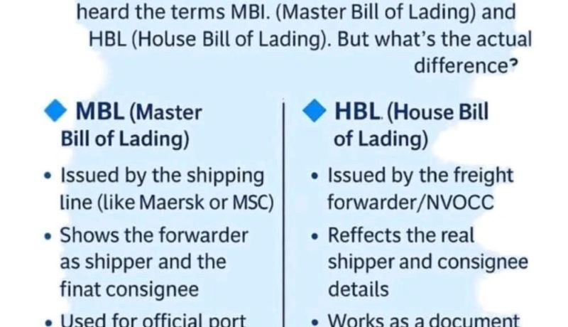 WhatsApp Image 2025-12-14 at 11.58.18 AM