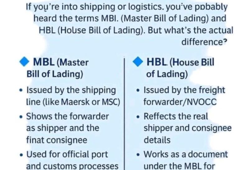 WhatsApp Image 2025-12-14 at 11.58.18 AM